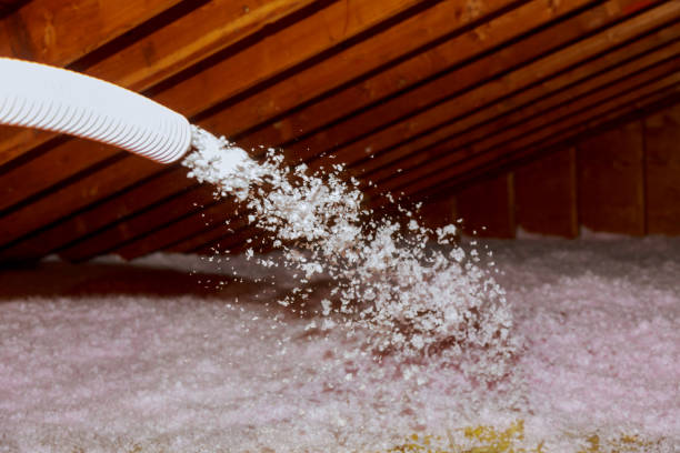 Types of Insulation We Offer in Mission, TX