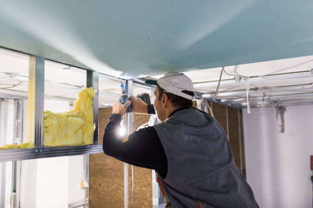 Best DIY Insulation Kits and Guidance in Mission, TX