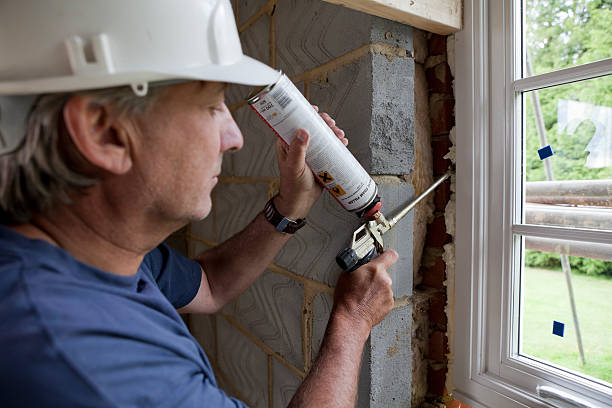 Best Residential Insulation in Mission, TX