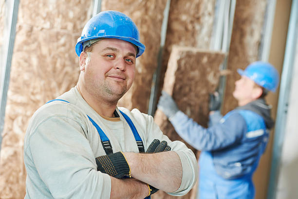 Best Insulation Maintenance and Repair in Mission, TX