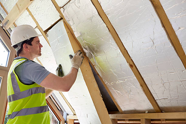 Best Blown-in Insulation in Mission, TX