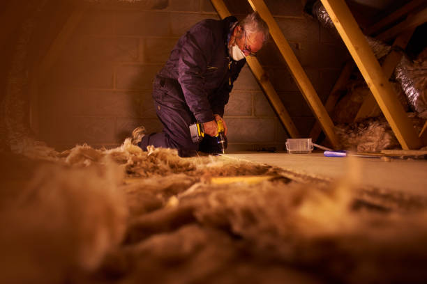 Best Commercial Insulation in Mission, TX